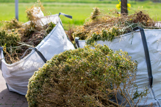 Best Full-Service Junk Removal  in Lancaster, KY